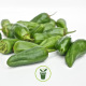 Piment Padron BIO 0,15 gamme