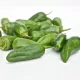 Piment Padron BIO 0,15 gamme