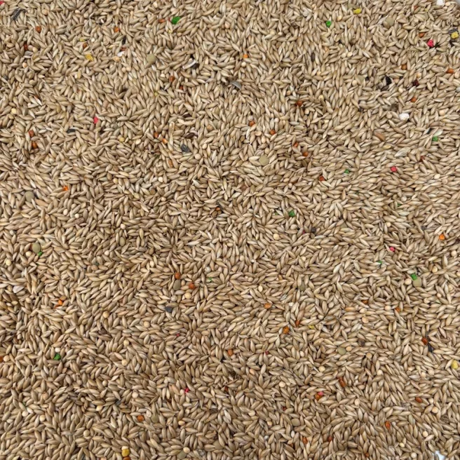 Graines d’Alpiste 1 kg