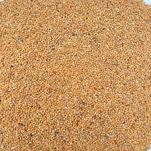 Graines de Millet Jaune 1 kg
