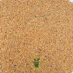 Graines de Millet jaune 1 kg