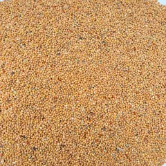 Graines de Millet jaune 1 kg
