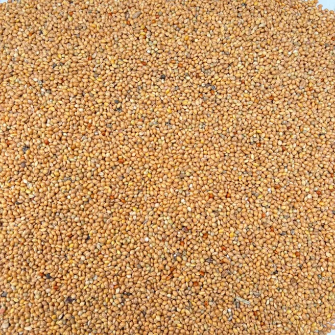 Graines de Millet Jaune 1 kg