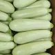 Courgette Bianda di Trieste