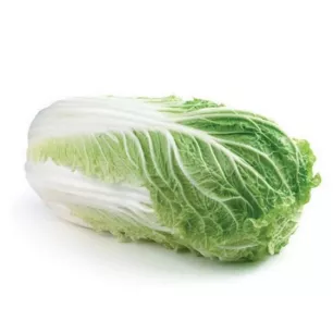 CHOU DE CHINE PE TSAÏ / WONG BOK 300 graines