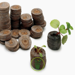 Pastilles coco - Pastilles coco 36 mm - 48 pièces