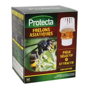 piège sélectif frelons asiatiques avec attractif protection abeilles jardin écologique
