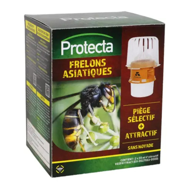piège sélectif frelons asiatiques avec attractif protection abeilles jardin écologique