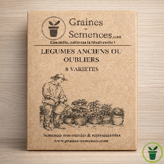 Graines de légumes anciens ou oubliés – Pack de 8 variétés 