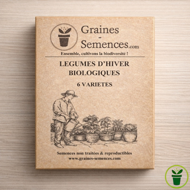 Graines de légumes d’hiver BIO  – pack de 6 variétés