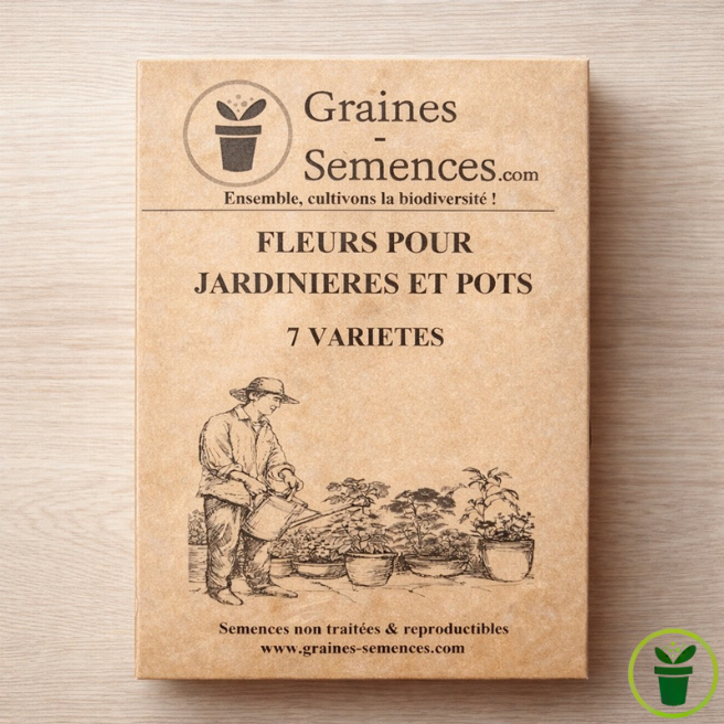 Pack de graines fleurs pour jardinières et pots – mélange de 7 variétés pour balcon, terrasse et jardinière fleurie