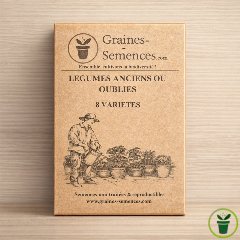 Graines de légumes anciens ou oubliés – Pack de 8 variétés 