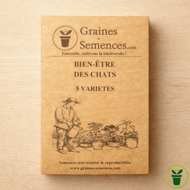 Pack de graines bien-être pour chats avec 5 variétés de plantes à semer en pot ou au jardin
