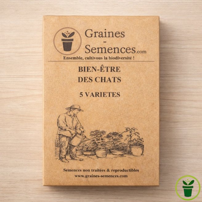 Pack de graines bien-être pour chats avec 5 variétés de plantes à semer en pot ou au jardin