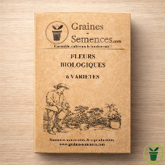 Graines de Fleurs BIO– pack de 6 variétés