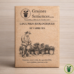Graines de légumes BIO– pack de 10 variétés