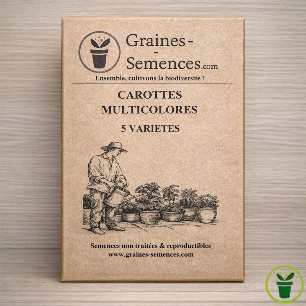 Carottes multicolores - pack de 5 variétés