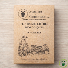 Graines de Fleurs Mellifères BIO - pack de 6 variétés