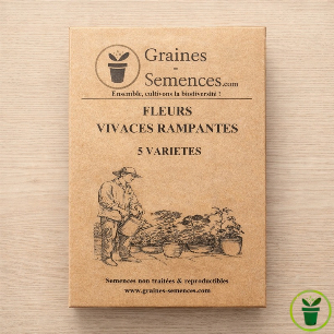 Fleurs vivaces rampantes  – pack de 5 variétés