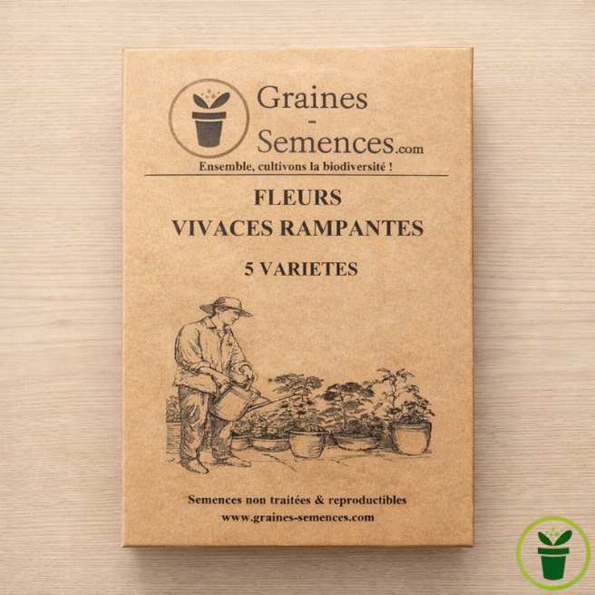 Fleurs vivaces rampantes  – pack de 5 variétés