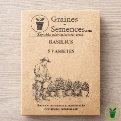 Basilics - packs de 5 sachets de graines