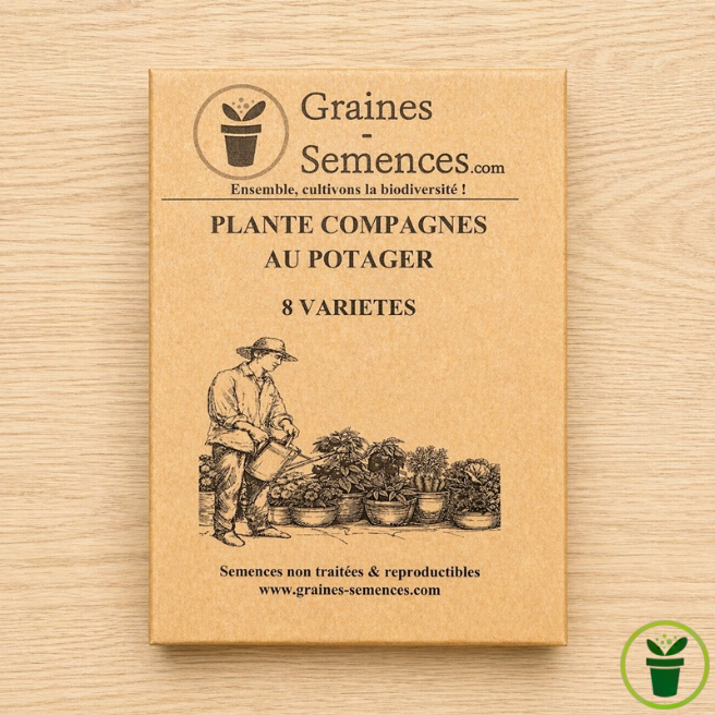 Plantes compagnes au potager - 8 variétés indispensables