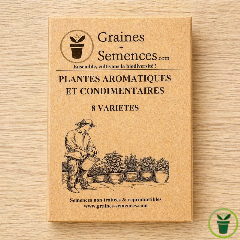 Plantes aromatiques et condimentaires – Pack de 8 variétés