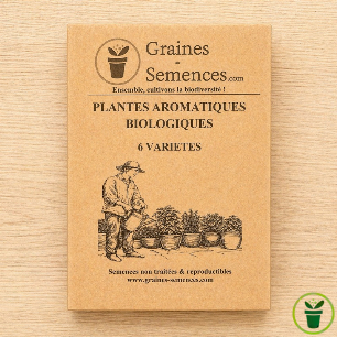 Plantes aromatiques BIO – pack de 6 variétés