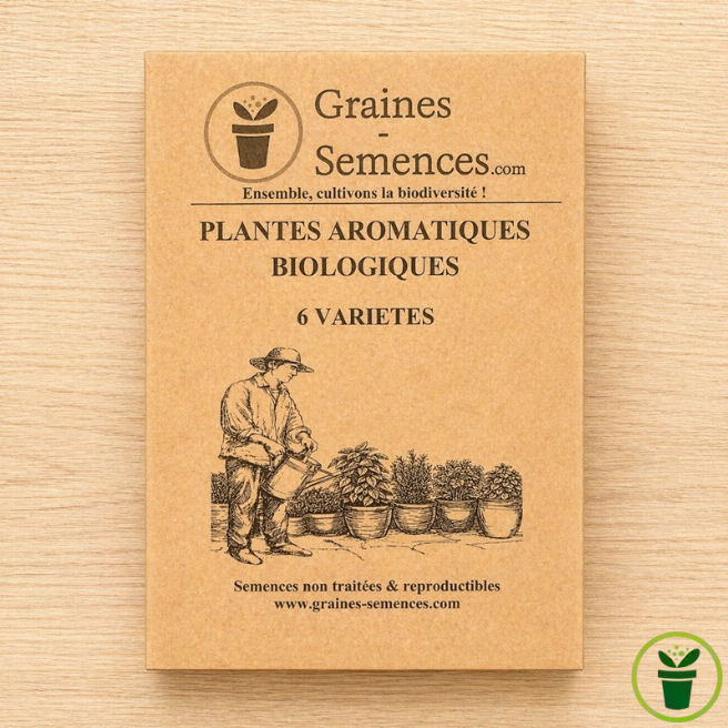 Plantes aromatiques BIO – pack de 6 variétés