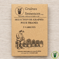 Sélection de graines pour tisanes – Pack de 5 variétés 