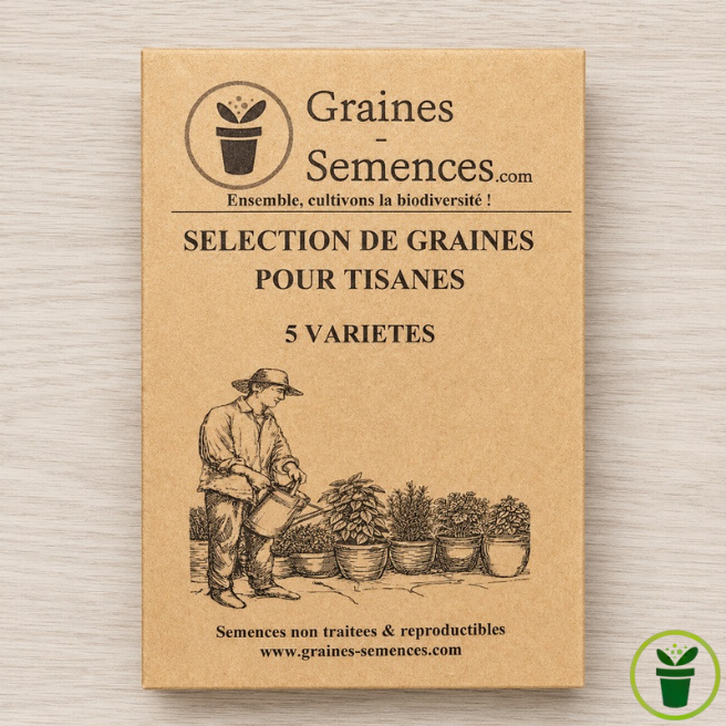 Sélection de graines pour tisanes – 5 variétés 
