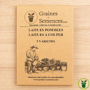 Laitues pommées - Laitues à couper. Pack de 4 variétés