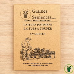 Laitues pommées - Laitues à couper. Pack de 5 variétés