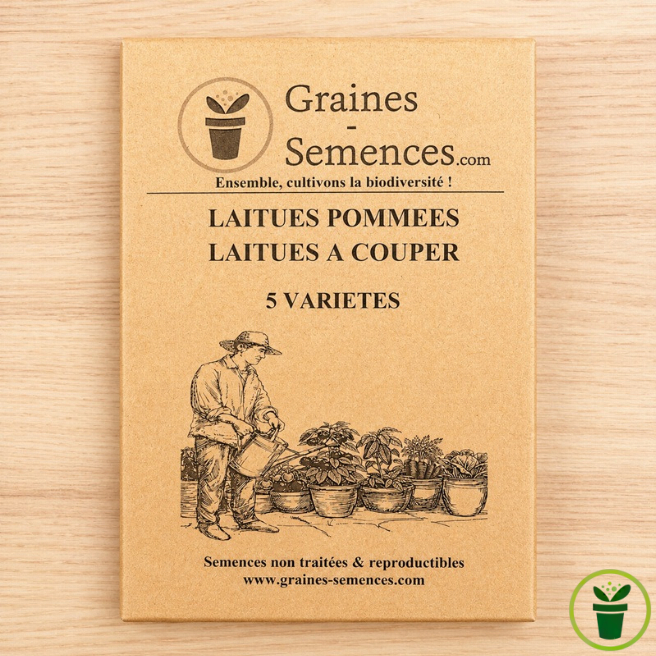 Laitues pommées - Laitues à couper. Pack de 4 variétés