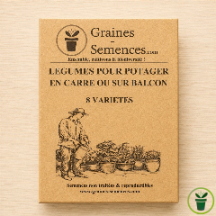 Graines de légumes pour potager en carré ou sur balcon – Pack de 8 variétés