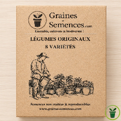 Légumes originaux - Pack de 8 variétés goûteuses et colorées 
