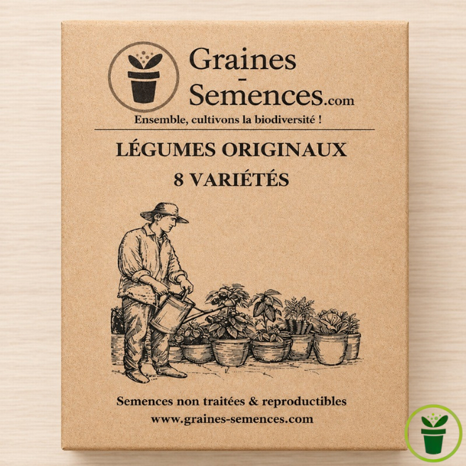 Pack graines légumes originaux et colorés – 8 variétés potager