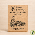 Graines de légumes BIO– pack de 10 variétés