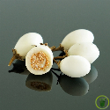 Aubergine Blanche Ronde à Œufs (White Egg)  60 graines