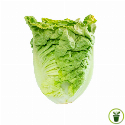 Laitue Romaine Sucrine Little Gem 2 grammes