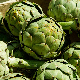 Graines d'Artichaut Vert de Provence à semer au potager