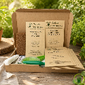 Graines de légumes pour potager en carré ou sur balcon - Kit de 8 variétés prêt à semer 