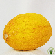 Graines de Melon Jaune Canari, chair juteuse, longue conservation