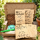 Fleurs pour jardinières et pots – pack de 7 variétés