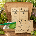 Basilics - Kit de 5 variétés prêt à semer