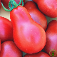 Tomate Red Pear graines poire rouge en grappe