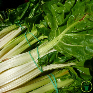 Poirée blonde à carde blanche, larges feuilles vert clair cloquées