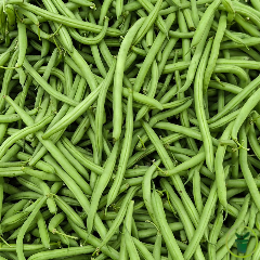 Haricot nain mangetout Delinel 50 grammes