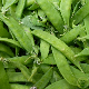 Graines de pois nain mangetout de Grâce aux cosses vert clair charnues