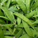 Pois nain mangetout de Grâce 60 grammes